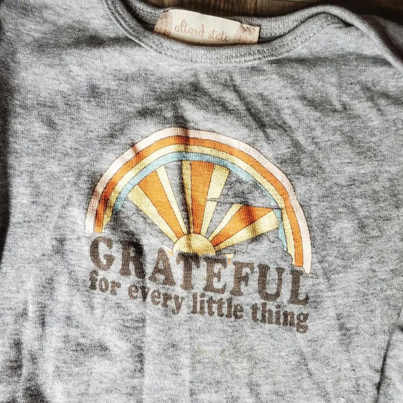 Baby Boy Casual Top Bundle - 3 Bodysuits - Gray White - Happy Camper & Grateful - Picture 13 of 14